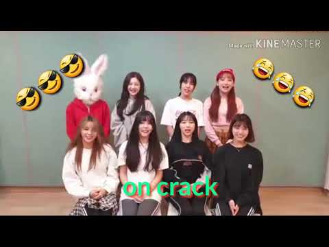 PINK FANTASY ON CRACK #1