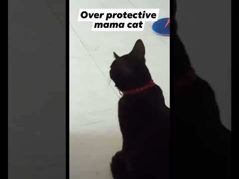 she came to give birth @ my house