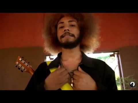 MUFASA MAJOR  - WILDLIFE FREESTYLE