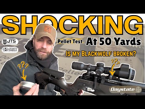 Daystate Blackwolf Pellet Test at 50 Yards – Shocking Results. 