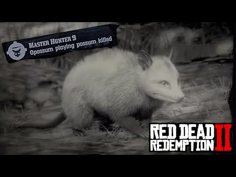 Master Hunter Challenge #9 - (EASY)  Opossum Playing Possum l Red Dead Redemption 2