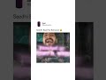 Seedhi Baat No Bakwaas Shorts Ytshortsindia Meme
