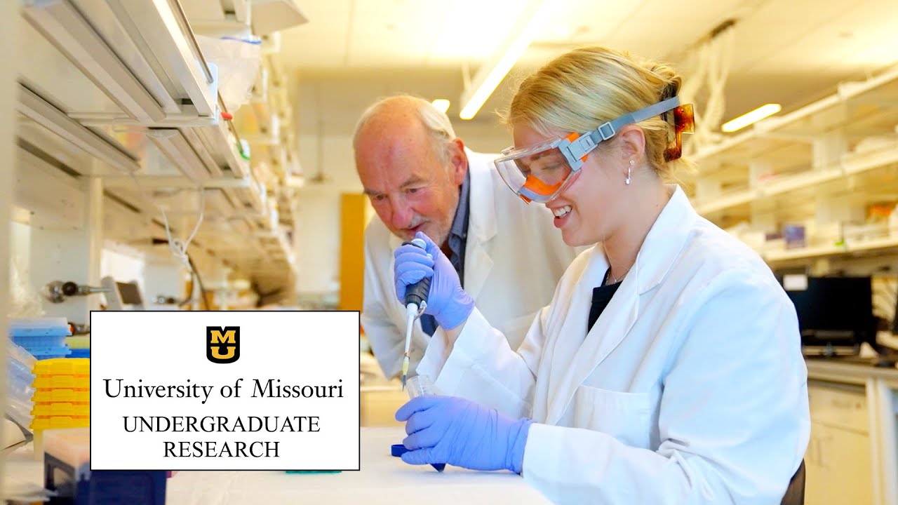 Undergraduate Research at Mizzou | The College Tour
