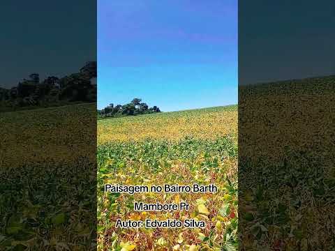 Município de Mambore Pr