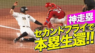 [分享] 羅德Martin神之跑壘