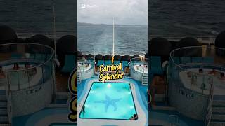 Pool at Carnival Splendor #cruise #cruisetour #travelvlog #cruiseship #travel #carnival #pool