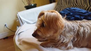 Casper intrigued by Haujobb 's Grounds