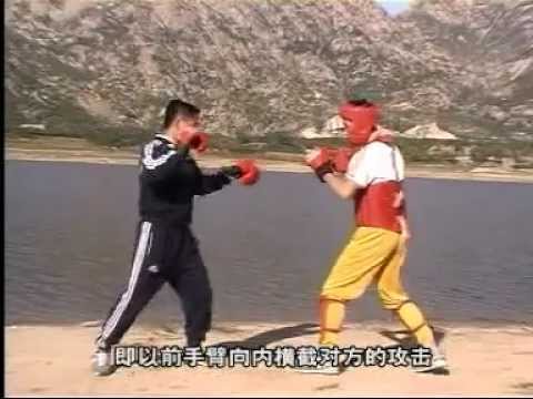 Advanced kickboxing muay thai fighting 4of4 Mandarin