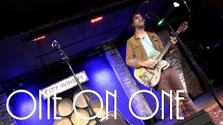 ONE ON ONE: Joseph Arthur June 27th, 2015 City Winery New York Full Session