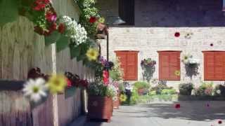 Çiçek Açan Antalya Tanıtım Videosu