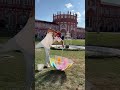 Rainbow Umbrella Explosion