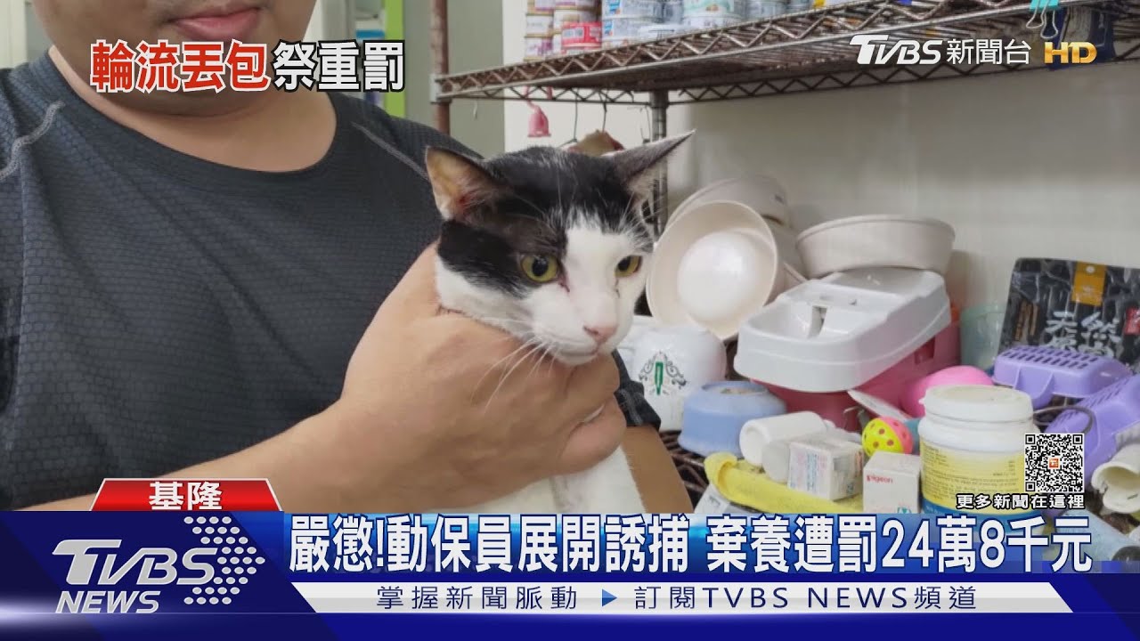 竹動保所助載28隻犬貓至基隆 女惡意棄養