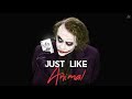 Joker New Whatsapp Status Maroon 5 Animals