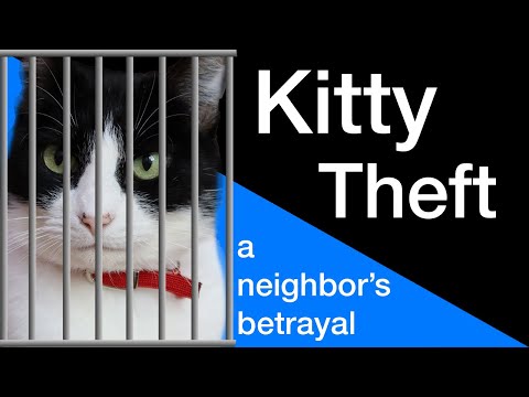 My neighbor stole my cat :(