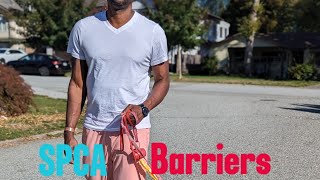 SPCA BARRIERS TO ADOPTION😫: Soap Box Fridays EP 14. #jussayin #soapboxfridays #raphaeljohnpierre