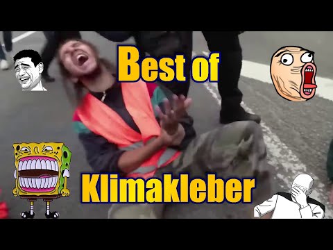 Best of Klimakleber Compilation - Panzerkrieger #letztegeneration  #klimakleber #roadrage #grüne