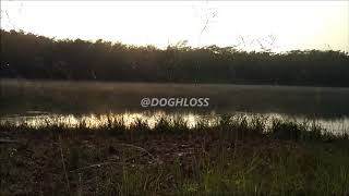 preview picture of video 'DOOGHLOSS  DAN DANAU HITACHI'