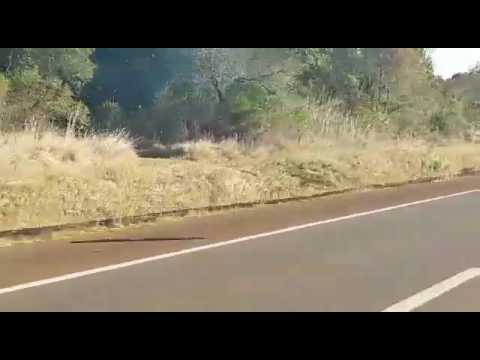 Quehaceres TUM bomberos Garupa(4)