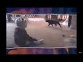 America S Funniest Home Videos Season 9 Episode 17