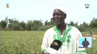 AN 4 du MPSR2: Zoom sur l'offensive agricole à Bogandé