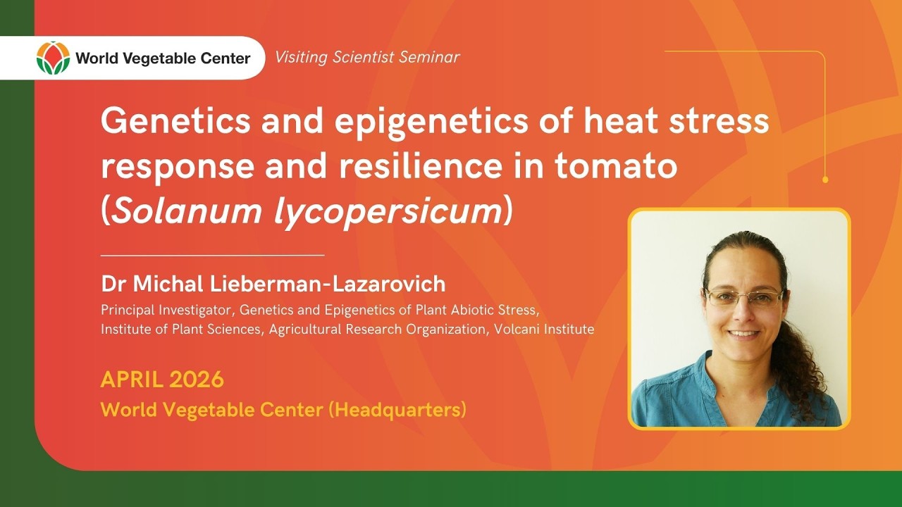 Genetics and epigenetics of heat stress response and resilience in tomato (Solanum lycopersicum)