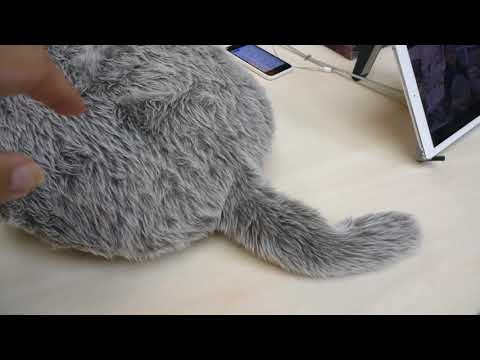 Qoobo Review Video 1