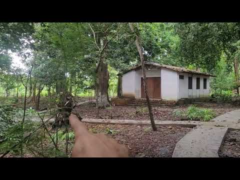Pasillos nuevos del jardín hidrobotanico de caucasia antioquia Jorge Ignacio Hernández Camacho.