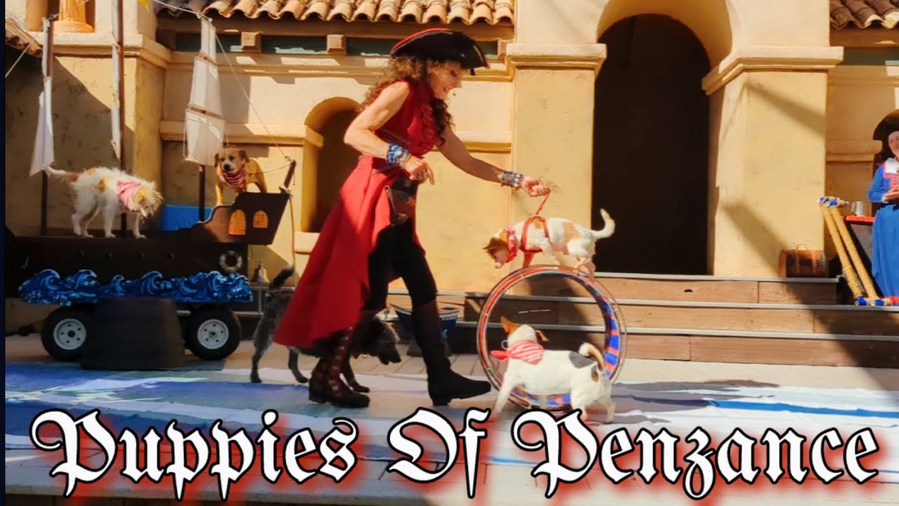 Promotional video thumbnail 2 for Pirates of Penzance- pirate puppy show