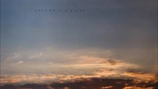 Archie Roach - Weeping in the Forest