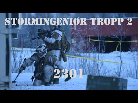 STING - DIMMEFILM - INGENIØRBATALJONEN - 2301