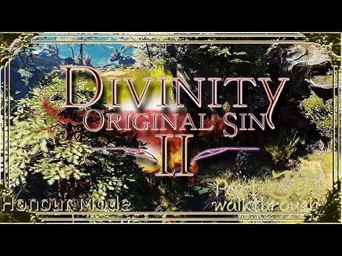 Divinity Original Sin 2 | Honour Mode Walkthrough | Part 39 Bahara