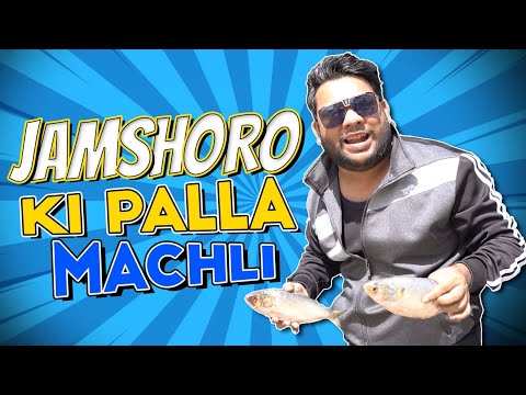 Jamshoro Famous Palla Machli Making !!