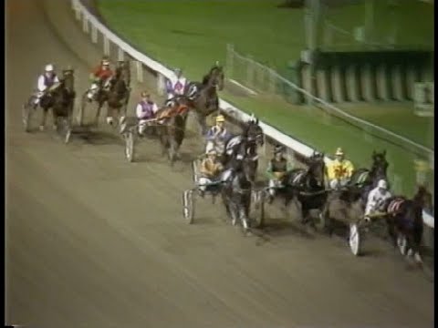Harness Racing,Harold Park-12/06/1987 NSW Pacers Derby (Rufus Youngblood-I.R.Lee)