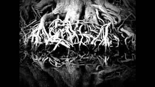 Sleeper - Shelter