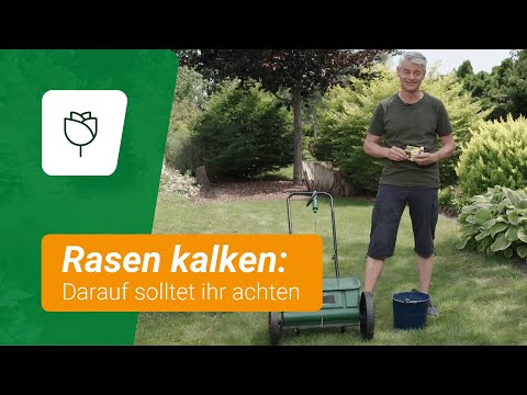 Rasen kalken: Darauf solltet ihr achten