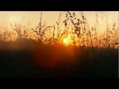 Bliss by Niki Khan - MUSIC VIDEO
