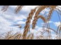 не жалейте о прожитом и.слуцкий 