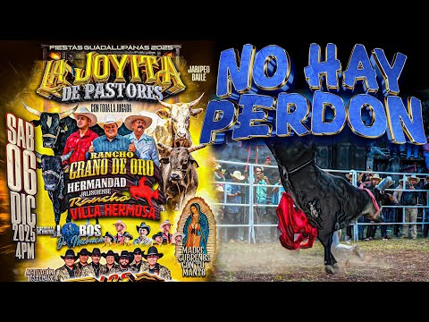 “Los Toros Vinieron por Todo: La Hermandad Jalisciense no perdono” en La Joyita, Gto.
