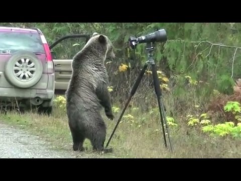 download lagu mp3 mp4 Photo With Bear, download lagu Photo With Bear gratis, unduh video klip Photo With Bear