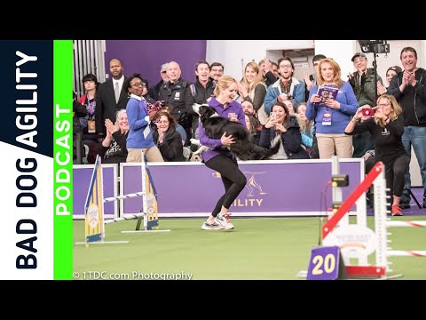 238: Westminster 2020 Preview