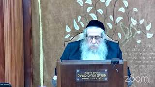 הרה"ג הרב וועכטר שליט"א כ"ה ניסן תשפ"ד - מאמר הרבי הריי"צ ד"ה אני ישנה וליבי ער חלק ג (הרב אברהם מנחם מענדל וכטר) - התמונה מוצגת ישירות מתוך אתר האינטרנט יוטיוב. זכויות היוצרים בתמונה שייכות ליוצרה. קישור קרדיט למקור התוכן נמצא בתוך דף הסרטון