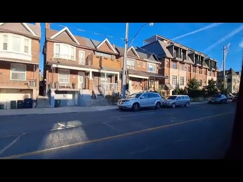 Exploring Canada by Bus 🇨🇦 | My First Public Transport Experience