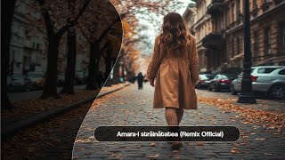 Download lagu Amara-i străinătatea (Remix ) 🔥 Best Music 2025 | Hit Românesc de Top mp3