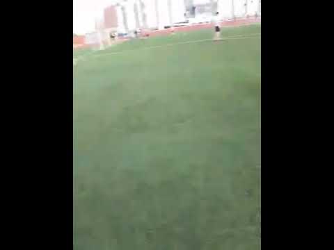 Даю пиног zerr 2007