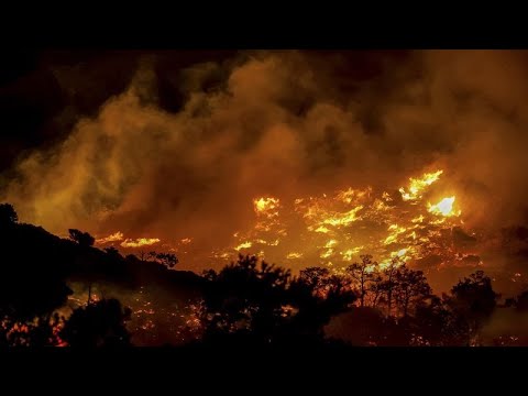 Massive Waldbrände in Griechenland und der Türkei