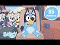 LIVE Best Bluey Moments Of 2024 Bluey