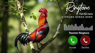 Download lagu Morning Alarm Ringtone | Rooster Ringtone | Rooster Sound Effect | Mobile phone ringtone | Cock mp3