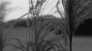 Madredeus - Milagre (music video)