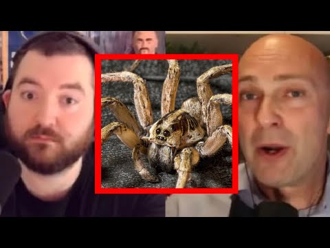 The TERRIFYING Spider Problem in Prison w/ Shaun Attwood | PKA