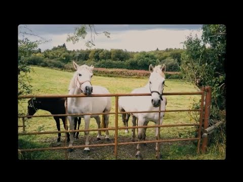 Amble - Hand Me Downs (Official Audio)